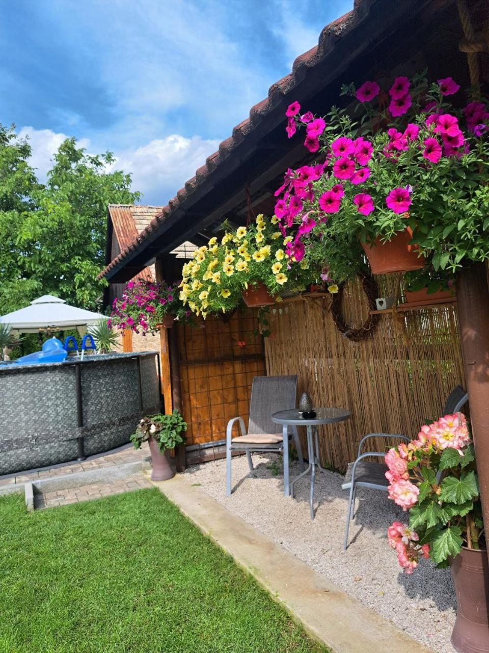 Vila Harmonia Turčianske Teplice Extérieur photo